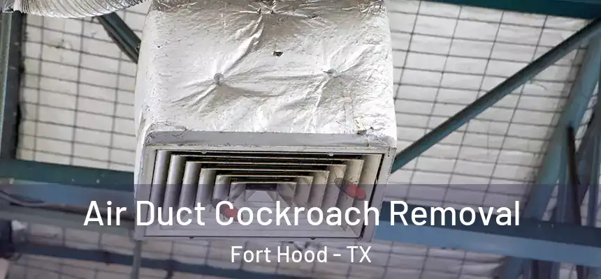 Air Duct Cockroach Removal Fort Hood - TX