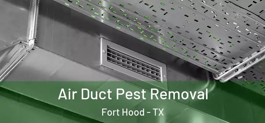 Air Duct Pest Removal Fort Hood - TX
