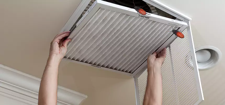 Preventive Cockroach-Proofing for Ducts in Fort Hood