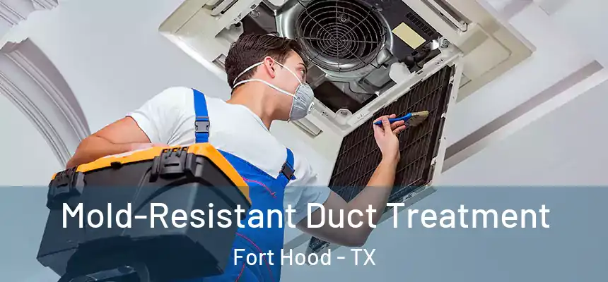 Mold-Resistant Duct Treatment Fort Hood - TX
