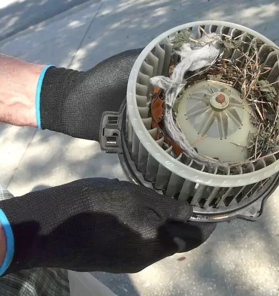 About Air Duct Rat Removal in Fort Hood, TX