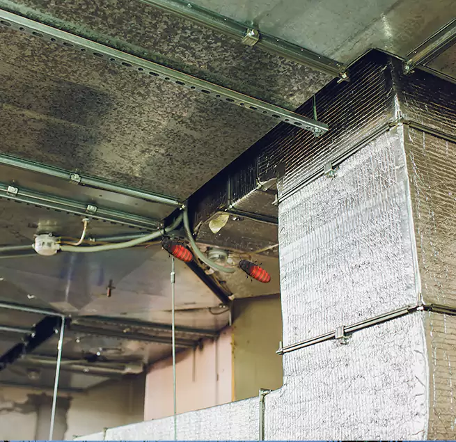 Why Homeowners & Businesses Trust Us in Fort Hood, TX?