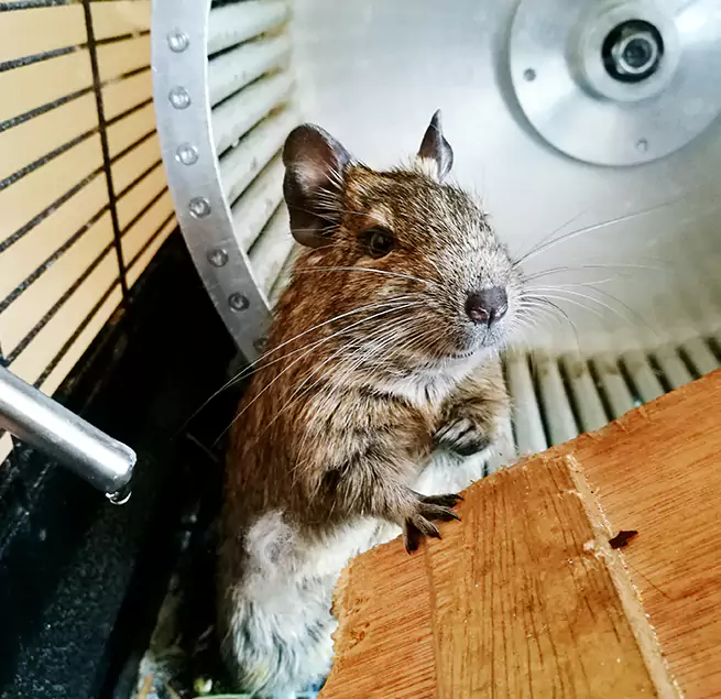 Why Homeowners & Businesses Trust Us Fort Hood, TX?