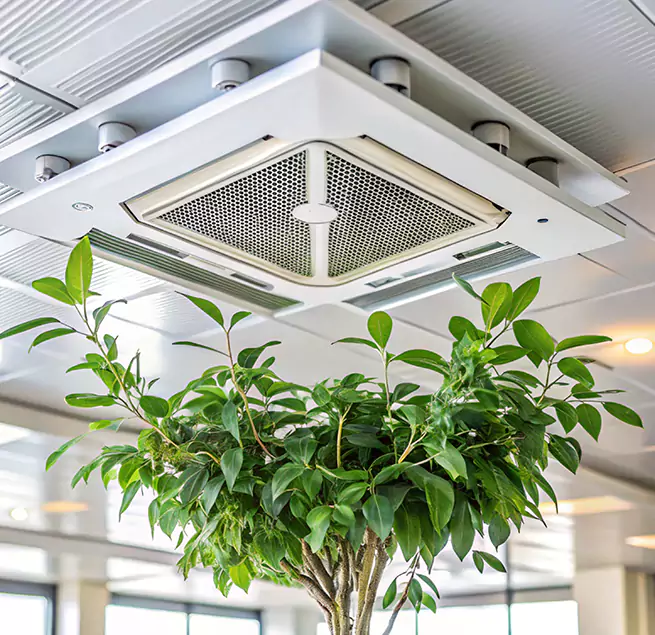 Why Homeowners & Businesses Trust Us in Fort Hood, TX?