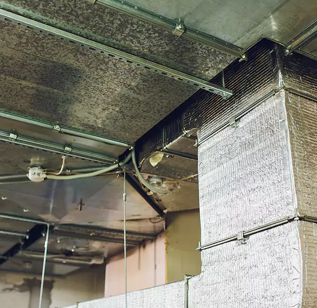 Why Homeowners & Businesses Trust Us in Fort Hood, TX?